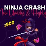 ninja crash